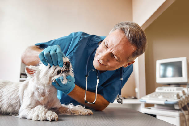 Best Emergency Dentist for Special Needs Patients in Cambridge, OH